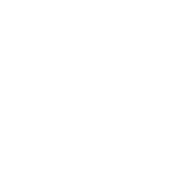 Home Icon
