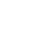 Home Icon