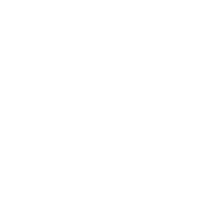 Home Icon
