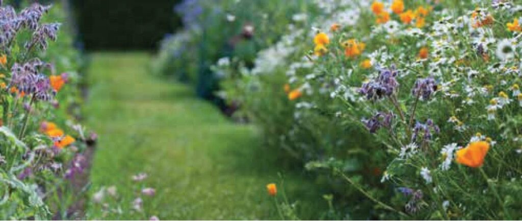 Premier Floors — Flower Beds