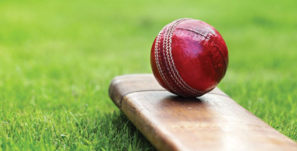 Primeland — Cricket Pitch