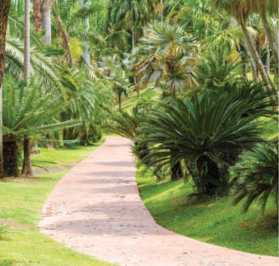 Primeland — Palm & Fragrance Gardens