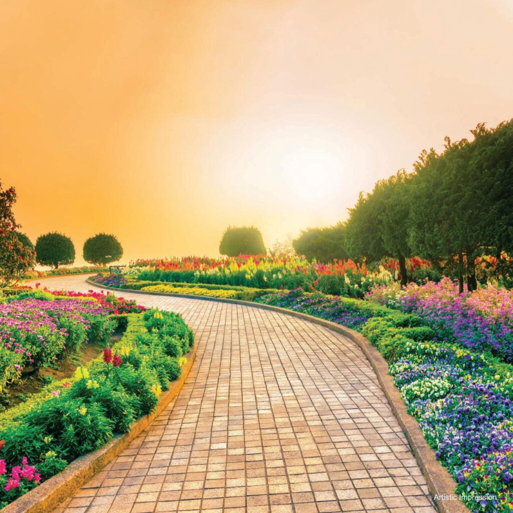 The Nation — Rejuvenating Zone