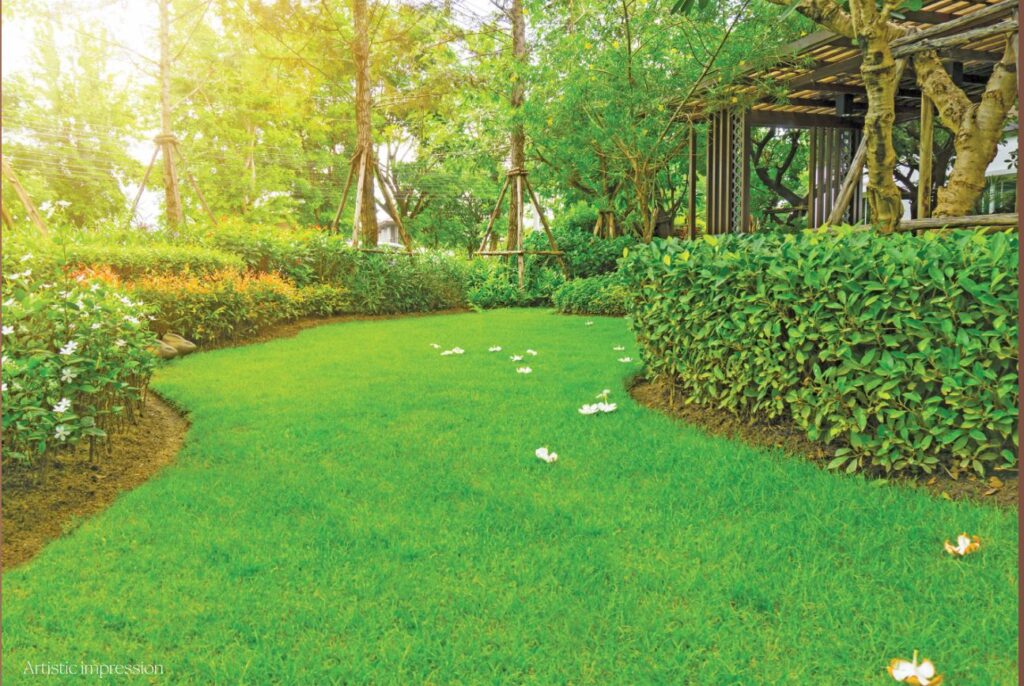 The Pride — Multipurpose Lawn